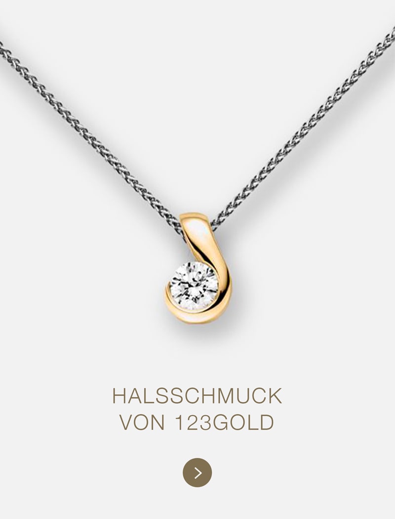 Eine goldene und silberne Halskette mit einem runden Diamantanhänger ist auf einem weißen Hintergrund abgebildet. Darunter steht der Text "HALSSCHMUCK VON 123GOLD", der die Eleganz von 123GOLD-Schmuck unterstreicht, und darunter ein kleines Pfeilsymbol.