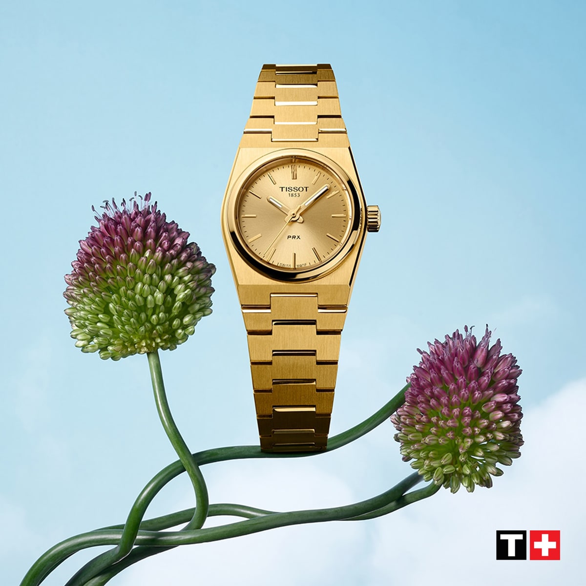Eine goldene Tissot-Armbanduhr wird zwischen zwei violetten Allium-Blüten vor einem himmelblauen Hintergrund balanciert. Das Tissot-Logo erscheint in der unteren rechten Ecke.
